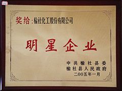 2005年榆社县明星企业